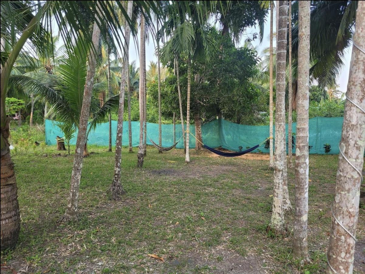 Blue Lagoon Resort, Neil Island Sitapur ภายนอก รูปภาพ